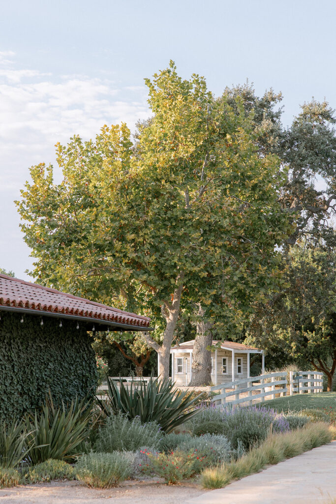 santa ynez ranch wedding